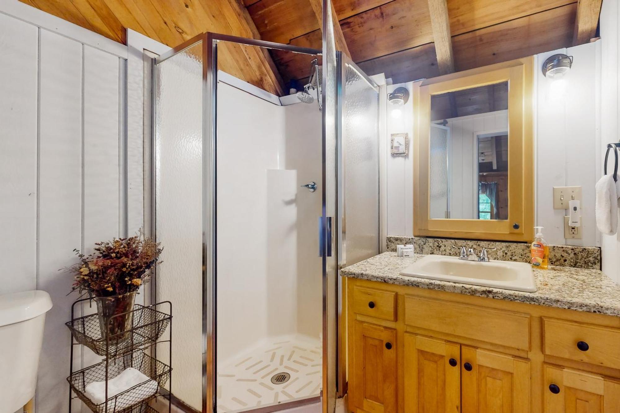 Lazy Days Cabin ブルーリッジ山脈 エクステリア 写真